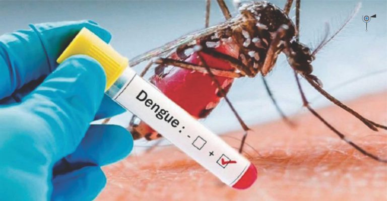 ¿Muerte por Dengue en Ciudad Madero?