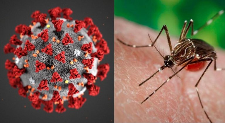 Reporte de Dengue y Coronavirus en Marcos Paz