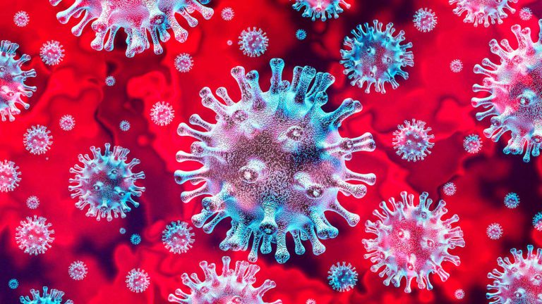 Coronavirus en Moreno: Nuevo reporte epidemiológico
