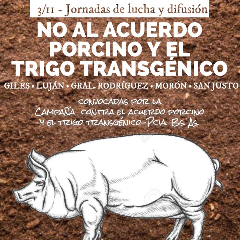 Martes 3 de Noviembre, jornadas contra el acuerdo porcino y el trigo transgénico