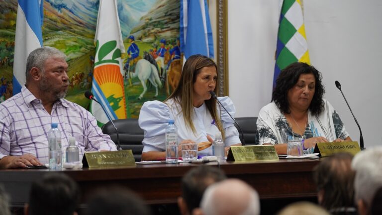 Concejo Deliberante de Merlo: Karina Menéndez encabezó la apertura de sesiones