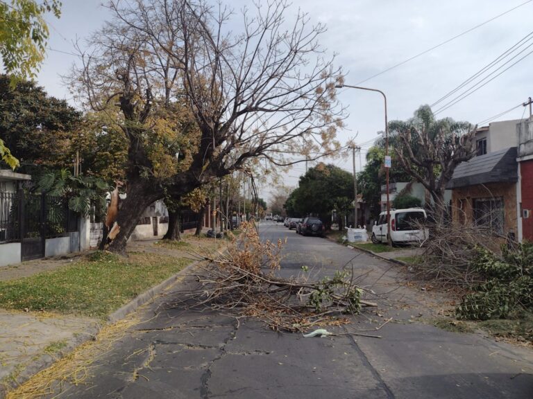 Aldo Bonzi: Corte vecinal de calle por árbol quebrado