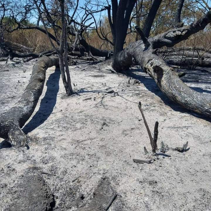 Terrible incendio en la reserva ecológica de Ciudad Evita
